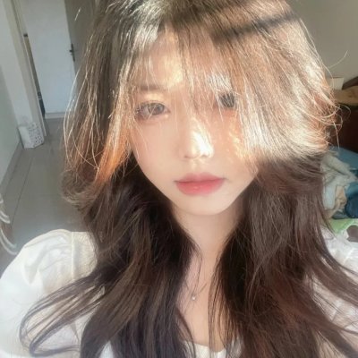 聪明的鸭子