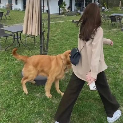 情断爱河